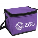 Non-woven 6 Pack Cooler